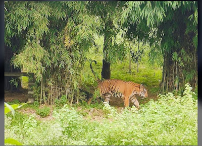 Sajjan Gargh Biological Park