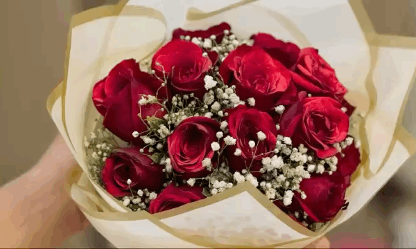 वैलेंटाइन वीक: आज रोज डे से प्यार के इजहार की शुरुआत, दुकानों पर ‘प्यार के पंछियों’ की भीड़, गुलाब-चॉकलेट कॉम्बो की बढ़ी डिमांड, हार्ट शेप बुके युवाओं की पहली पसंद