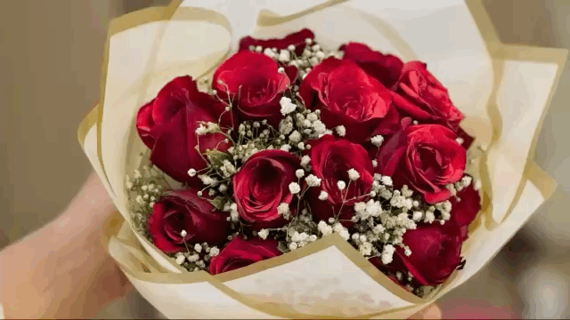 वैलेंटाइन वीक: आज रोज डे से प्यार के इजहार की शुरुआत, दुकानों पर ‘प्यार के पंछियों’ की भीड़, गुलाब-चॉकलेट कॉम्बो की बढ़ी डिमांड, हार्ट शेप बुके युवाओं की पहली पसंद