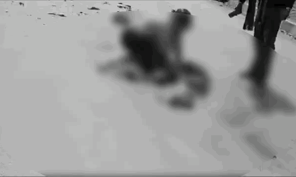 हाईवे पर मां के शव से लिपटकर रोती रही बेटी: तेज रफ्तार ट्रेलर ने महिला टूरिस्ट को कुचला, 50 मीटर तक बिखरे मांस के टुकड़े