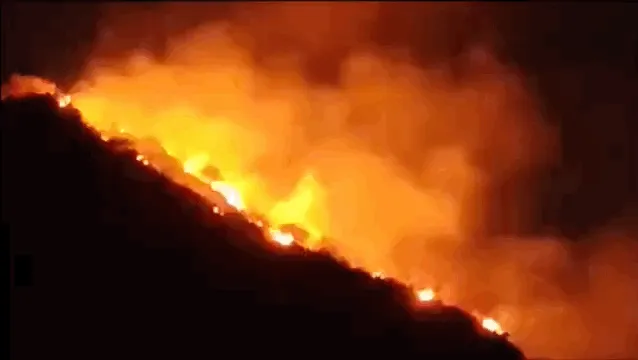 बाहुबली पहाड़ पर आग के बीच फंसे टूरिस्ट की मौत; हॉस्पिटल में इलाज के दौरान दम तोड़ा, बाहुबली हिल पर घूमने गया था युवक, तभी आग में फंसा