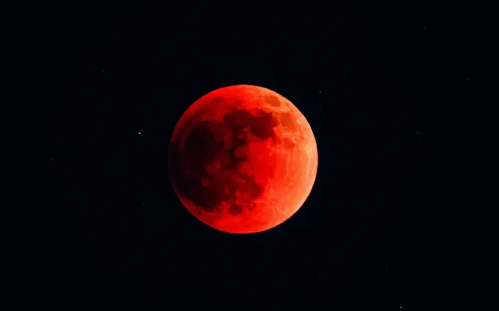 चंद्रग्रहण के चलते उदयपुर के मंदिरो में नहीं खेली होली; शाम 7 बजे शुद्विकरण और पूजा के बाद दर्शन शुरू हुए, प्रभु को कल लगेगी अबीर-गुलाल