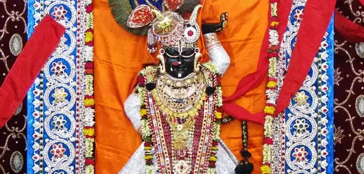 Nathdwara Darshan Timing