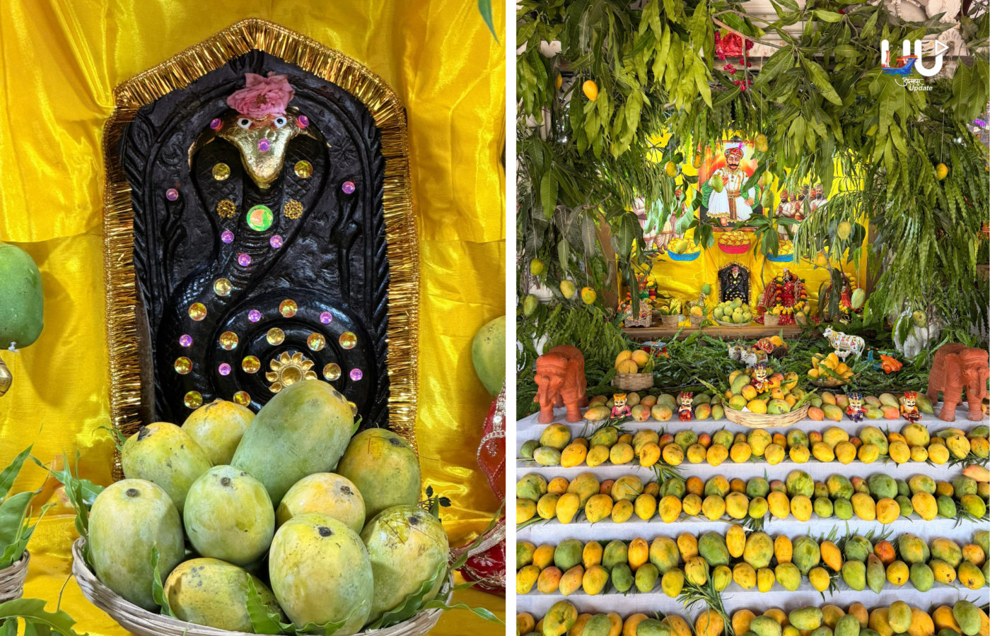 भक्ति का अनोखा रंग! आम की आंगी से सजा भगवान कल्लाजी बावजी का दरबार; श्रद्धालुओं ने लिया आशीर्वाद